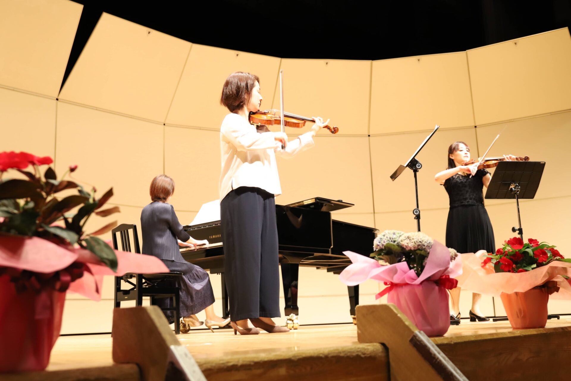 木村バイオリン教室